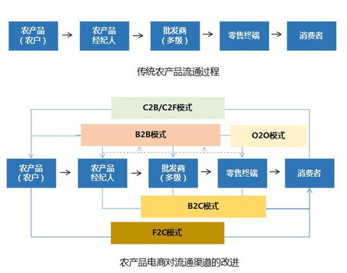 2020年农产品电商 五大发展趋势与电子商务服务深度融合